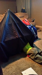 Discovery Kids Fort 