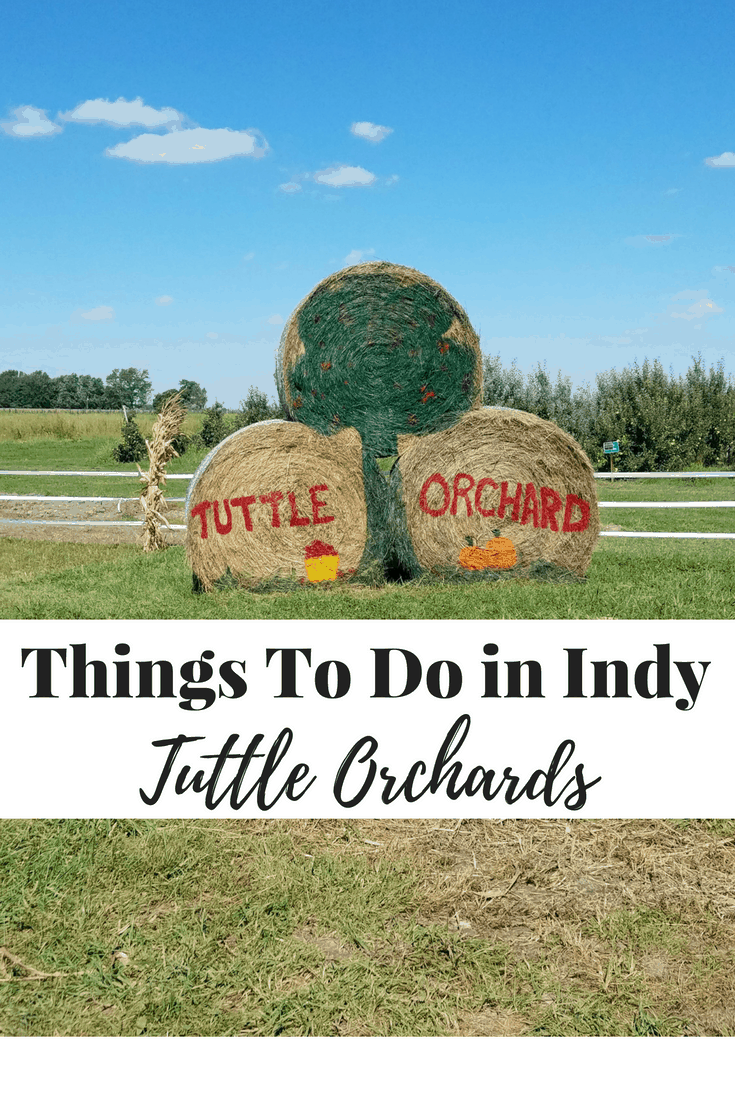 One of the best pumpkin patches and apple orchards in Indianapolis
